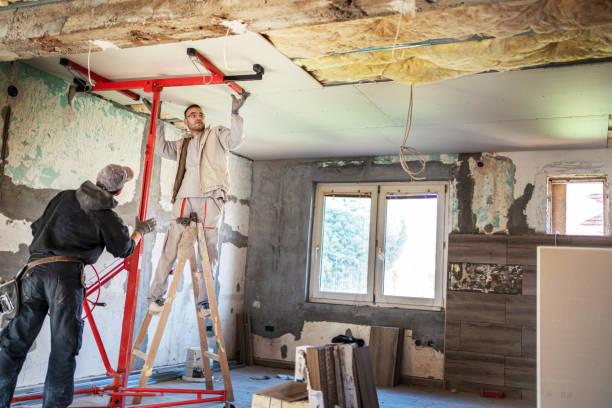Best Insulation Maintenance and Repair in Wolfforth, TX